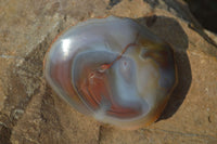 Polished Red River Agate Nodules  x 12 From Sashe River, Zimbabwe - Toprock Gemstones and Minerals 