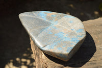 Polished Blue Spotted Spinel Standing Leaf Sculptures  x 2 From Madagascar - TopRock