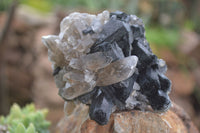 Natural Schorl Black Tourmaline Specimens With Hyalite Opal x 2 From Erongo Mountains, Namibia - TopRock