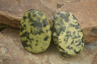 Polished Large Leopard stone Free Forms  x 6 From Zimbabwe - TopRock