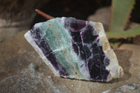 Polished Watermelon Fluorite Slices  x 6 From Uis, Namibia