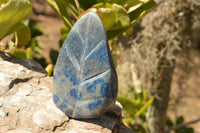 Polished Blue Spotted Spinel Standing Leaf Sculptures  x 2 From Madagascar - TopRock