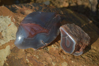 Polished Red River Agate Nodules  x 12 From Sashe River, Zimbabwe - Toprock Gemstones and Minerals 