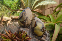 Polished Septaria Dragon's Eggs (Calcite & Aragonite) x 3 From Mahajanga, Madagascar - TopRock