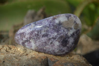 Polished Purple Lepidolite Free Forms  x 6 From Zimbabwe