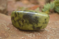 Polished Large Leopard stone Free Forms  x 6 From Zimbabwe - TopRock