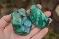 Polished Flower Banded Malachite Free Forms  x 12 From Congo - Toprock Gemstones and Minerals 