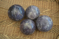 Polished Purple Lepidolite Spheres  x 4 From Madagascar - Toprock Gemstones and Minerals 