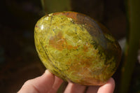 Polished  Green Opal Standing Free Forms  x 6 From Madagascar