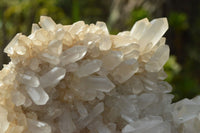 Natural Mixed Quartz Clusters x 6 From Madagascar - TopRock