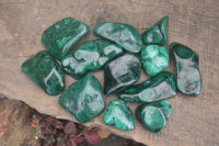 Polished Flower Malachite Free Forms  x 12 From Congo