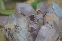 Natural Jacaranda Amethyst Cluster x 1 From Mumbwa, Zambia - TopRock