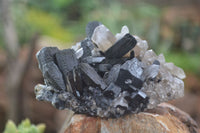 Natural Schorl Black Tourmaline Specimens With Hyalite Opal x 2 From Erongo Mountains, Namibia - TopRock