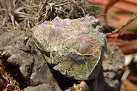 Natural Selected Stichtite & Green Serpentine (Atlantisite) Cobbed Specimens  x 8 From Barberton, South Africa - TopRock