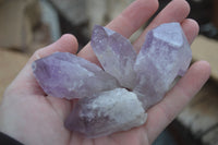 Natural Single Zambian Jacaranda Amethyst Points - Sold per 1.6 kg (24 points per tray) - From Mumbwa, Zambia - TopRock