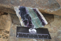 Polished Watermelon Fluorite Slices  x 6 From Uis, Namibia