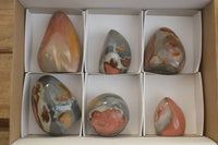 Polished Polychrome Jasper Standing Free Forms  x 6 From Madagascar