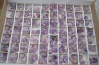 Natural Mini Flower Amethyst Crystals  x 148 From Madagascar - Toprock Gemstones and Minerals 