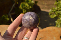 Polished Purple Lepidolite Crystal Spheres  x 8 From Madagascar - TopRock