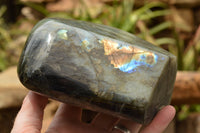 Polished Labradorite Standing Free Form With A Full Face Flash x 1 From Tulear, Madagascar - TopRock