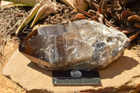 Natural Smokey Quartz Crystal With Polished Termination x 1 From Zomba, Malawi - TopRock