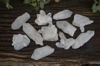 Natural Single Clear Quartz Crystals  x 12 From Mpika, Zambia - Toprock Gemstones and Minerals 