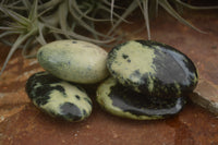 Polished Spotted Leopard Stone Gallets  x 12 From Zimbabwe - TopRock