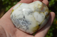Polished Dendritic White Opal Hearts x 8 From Moralambo, Madagascar - TopRock