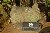 Natural Extra Large Malachite Infused Smokey Phantom Quartz Cluster x 1 From Luena, Congo - TopRock