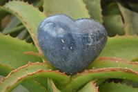 Polished Blue Lazulite Hearts  x 6 From Madagascar