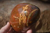 Polished Ocean Jasper Standing Free Forms  x 3 From Marovato, Madagascar