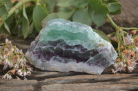 Polished Watermelon Fluorite Slices  x 6 From Uis, Namibia