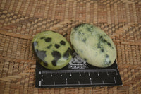 Polished Spotted Leopard Stone Gallets  x 12 From Zimbabwe - TopRock