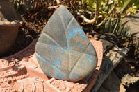 Polished Blue Spotted Spinel Standing Leaf Sculptures  x 2 From Madagascar - TopRock