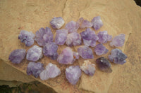 Natural Mini Flower Amethyst Crystals  x 148 From Madagascar - Toprock Gemstones and Minerals 