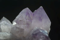 Natural Jacaranda Amethyst Clusters  x 3 From Mumbwa, Zambia - Toprock Gemstones and Minerals 