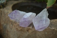 Natural Single Zambian Jacaranda Amethyst Points - Sold per 1.6 kg (24 points per tray) - From Mumbwa, Zambia - TopRock