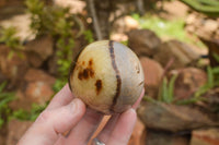 Polished Septaria Dragon's Eggs (Calcite & Aragonite) x 3 From Mahajanga, Madagascar - TopRock