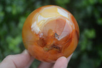 Polished Vibrant Carnelian Agate Spheres  x 5 From Madagascar - Toprock Gemstones and Minerals 