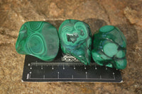 Polished Flower Banded Malachite Free Forms  x 12 From Congo - Toprock Gemstones and Minerals 