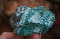 Natural Blue Malacholla (Malachite & Chrysocolla) Specimens  x 2 From Kulukuluku, Congo - Toprock Gemstones and Minerals 