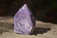 Polished  Beautiful Pale Lepidolite Standing Free Forms  x 2 From Zimbabwe