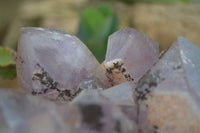 Natural Jacaranda Amethyst Cluster x 1 From Mumbwa, Zambia - TopRock