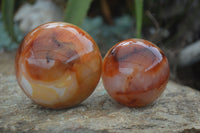 Polished Vibrant Carnelian Agate Spheres  x 5 From Madagascar - Toprock Gemstones and Minerals 