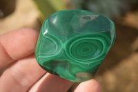 Polished Flower Banded Malachite Free Forms  x 12 From Congo - Toprock Gemstones and Minerals 