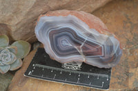 Polished Red Sache River Agate Nodules x 6 From Sashe River, Zimbabwe