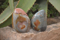 Polished Polychrome Jasper Standing Free Forms  x 6 From Madagascar