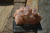 Natural Sugar Amethyst Clusters  x 6 From Zambia - Toprock Gemstones and Minerals 