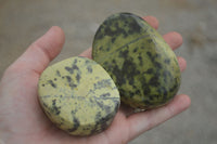 Polished Large Leopard stone Free Forms  x 6 From Zimbabwe - TopRock