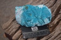 Natural Blue Malacholla (Malachite & Chrysocolla) Specimens  x 2 From Kulukuluku, Congo - Toprock Gemstones and Minerals 